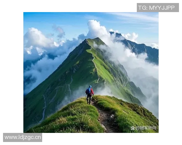 攀登人生的巅峰：王强与深度对话中的挑战与梦想