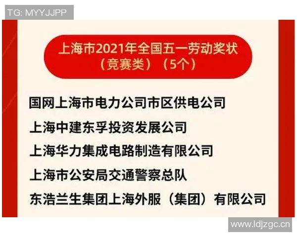 武汉飞盘队默契配合探讨提升团队协作与竞技水平的关键因素